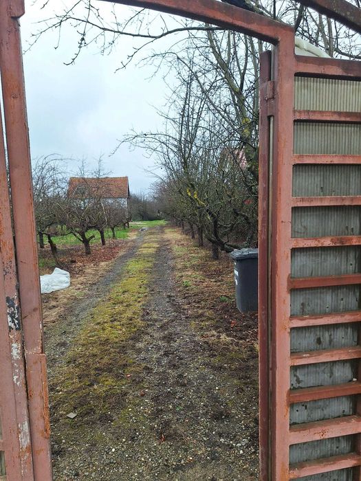 Teren 2500 mp,toate utilitatile -SAFTICA