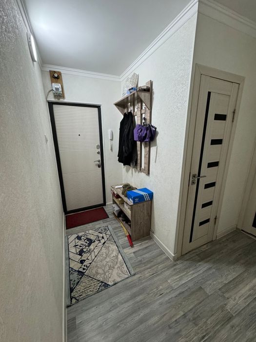 Ищу девушку на подселение