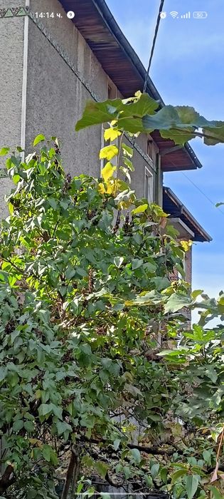 Продава се Къща в Благоевград, Идеален център - 360 кв.м за 528 €/кв.м - Снимка #3