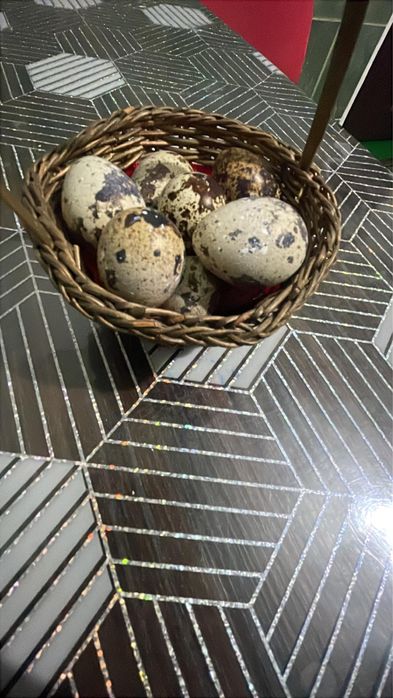 Vand oua de prepelita