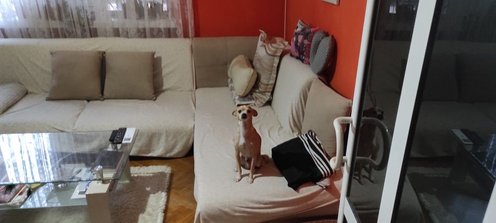 Продава се Четиристаен апартамент в Димитровград - 100 кв.м за 571 €/кв.м - Снимка #8