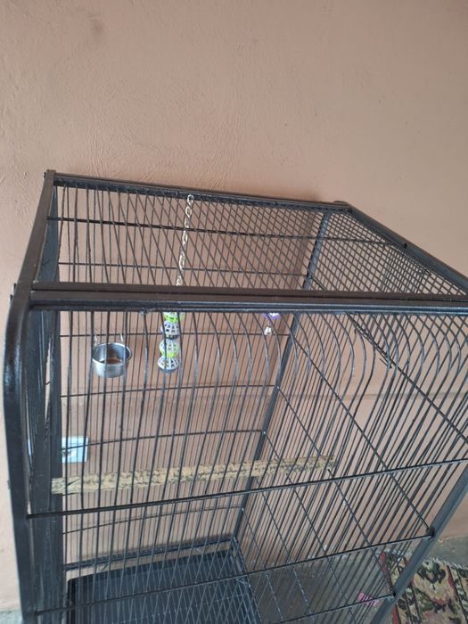 Voliera, colivie, cusca Pasari, papagali