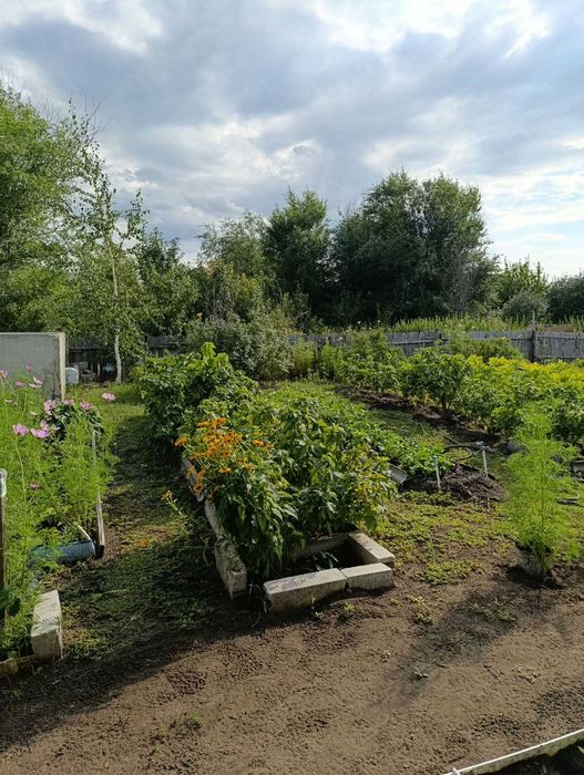 Продам дачу в Мелиараторе