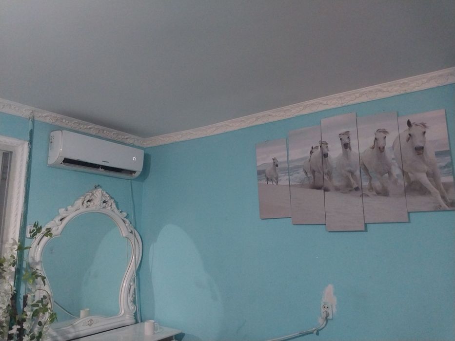 Суточный 5000 день