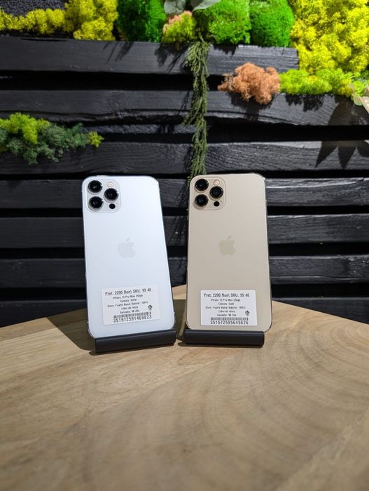 iPhone 12 Pro Max 256gb Gold/Silver Bat 100%/Fact+Garantie