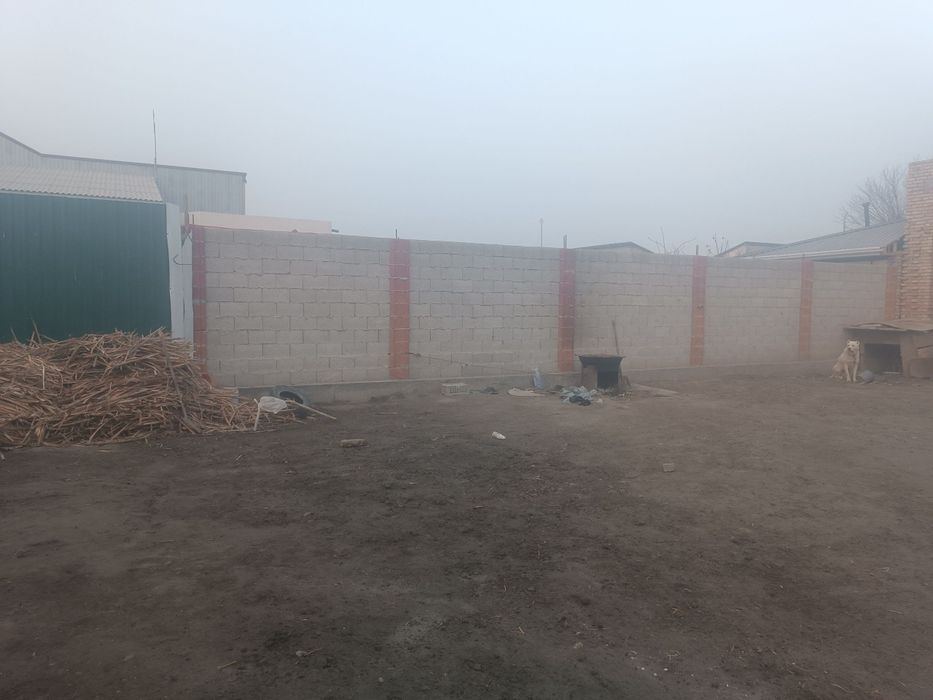 Muqimiy shaxarcha maschit kocha