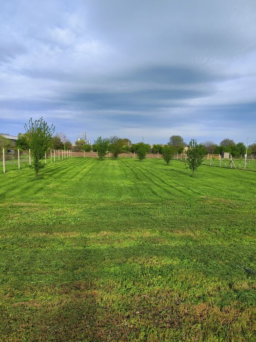 Продава се Парцел в Пордим - 1200 кв.м за 9 €/кв.м - Снимка #3