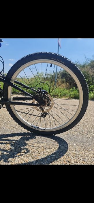 Bicicleta kreative custom