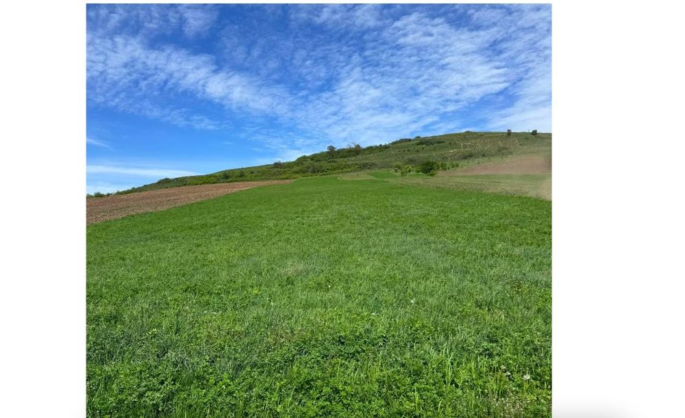 Vand Teren Extravilan, 6200mp, Zona Gusterita Sibiu