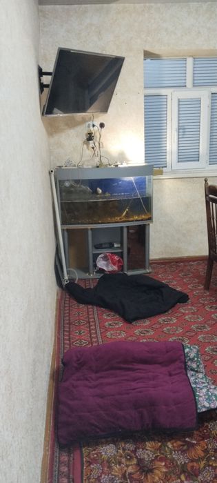 Уйим келесда 2 хонали 1 хонага Квартирант куяман