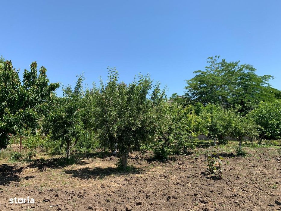 2 Proprietăți Alăturate, Casă Și Terenuri - Ultracentral Techirghiol