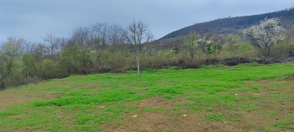 Парцел Крушовски баир    топ локация.   2580  m2С архитектурни планове
