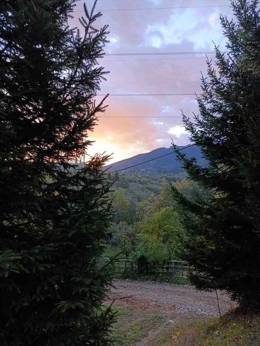 Teren intravilan cu toate utilitatile in Bran Poarta