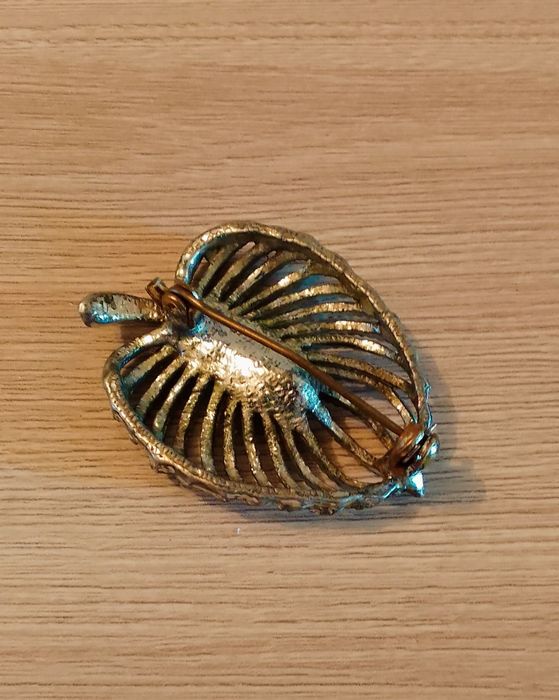 Аврора Бореалис чешская