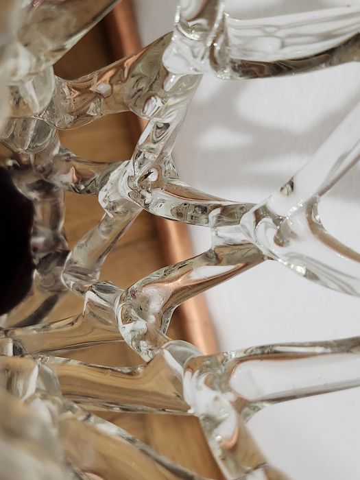 Vaza dantelata românească