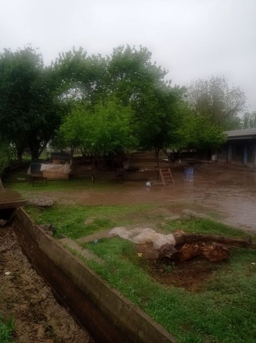 buka tumanida uy sotiladi 90 sotx