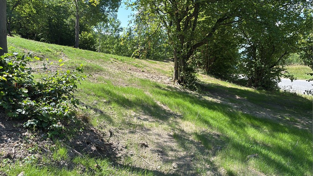 Vind teren ,la pretul cel mai bun oferit  front 30-40m-Evadeaza in Faget  la soare si in mijlocul naturii cu o frumoasa panorama