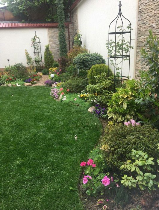 Gazon ekamiz sifatli