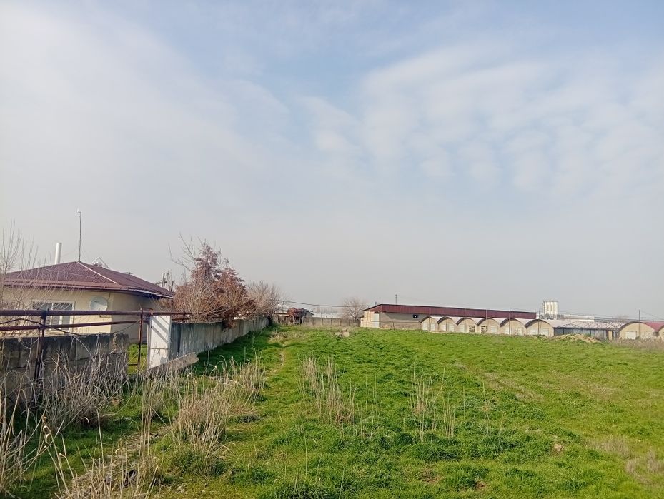 Новый Узбекистан Земля Продажа!