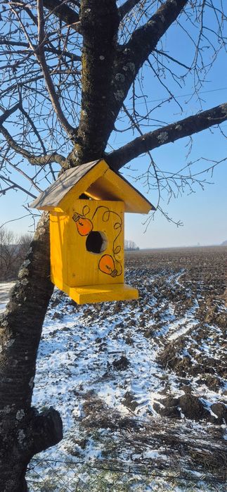 Casute pasari ,din lemn, hand made