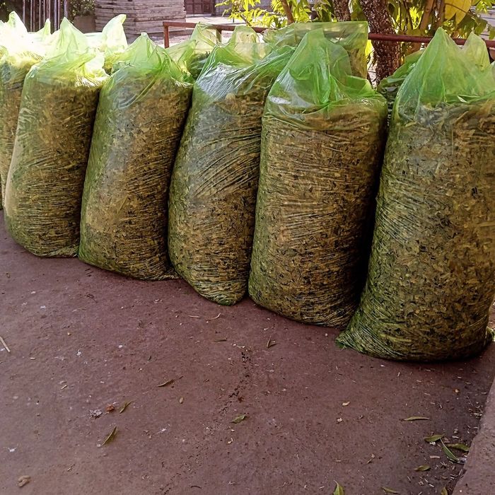 Silyos qop Optom narhlarda sotiladi