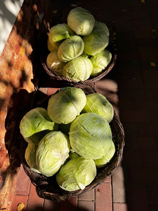 Vând varză Karate, Socodor