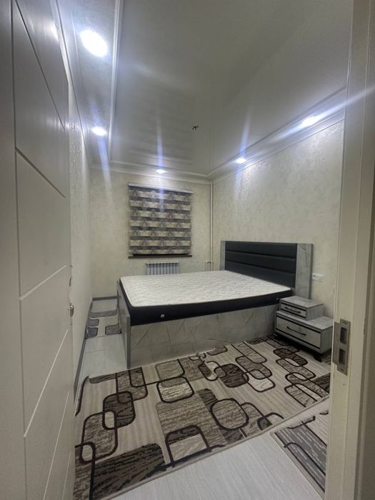 Arenda sebzor revera 500