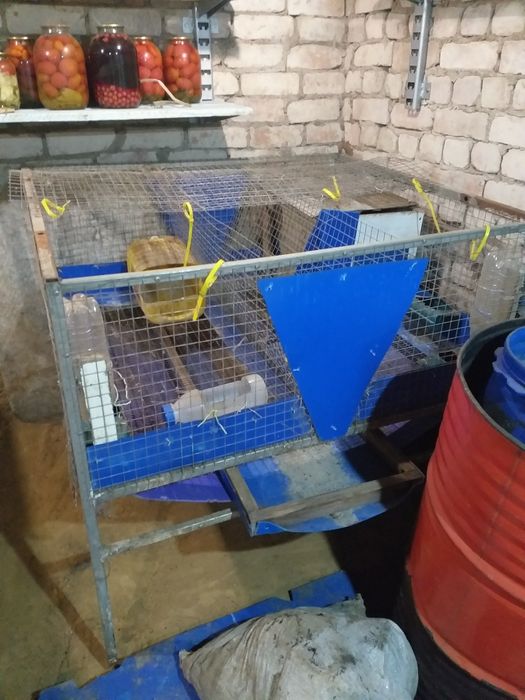 Продам клетки для кроликов
