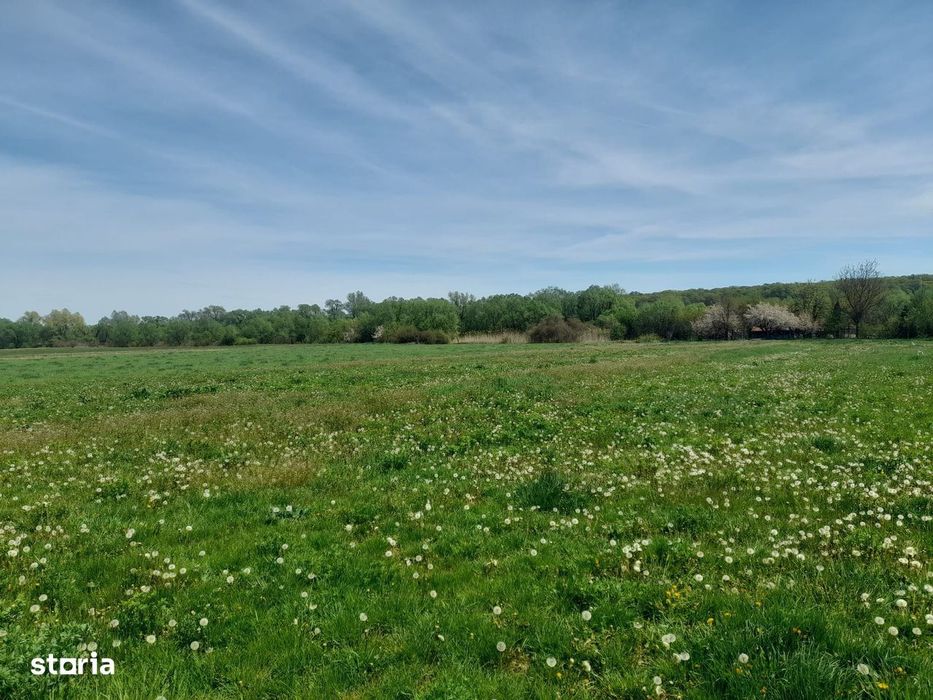 Teren de vanzare intravilan 5000 m2 Cisnadie zona SOMA