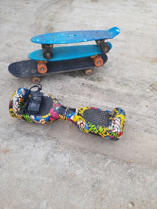 Haborduard și placă copii