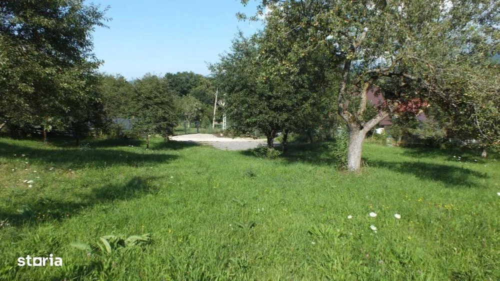 teren bran sohodol , o zona de vis, o priveliste unica spre bucegi!