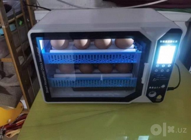 70 talik avtomat Inkubator/ инкубатор