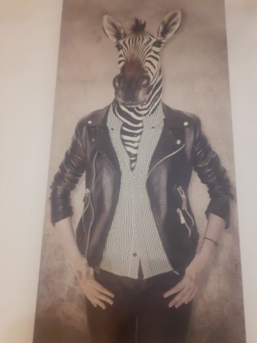 Tablouri animal face