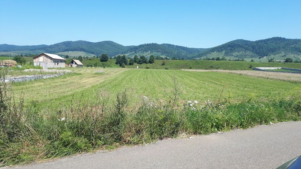 Teren de vanzare 7800 mp(2 parcele alaturate)