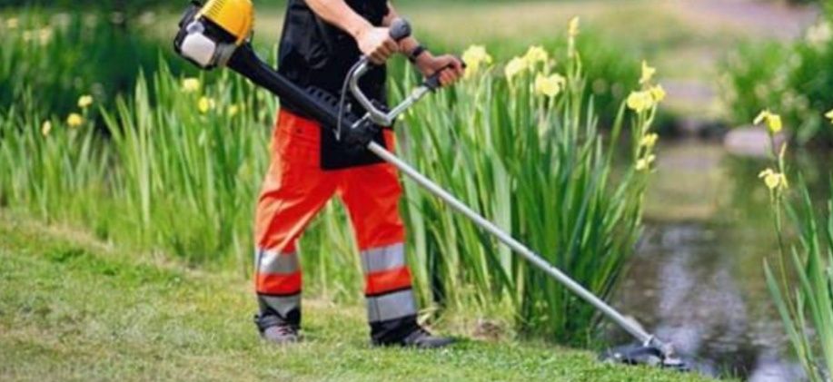 Услуги садовника