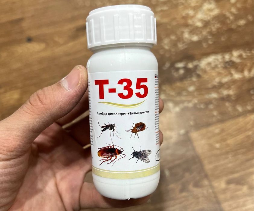 Таракан дори Америка (оригинал), клапа дори хам бор