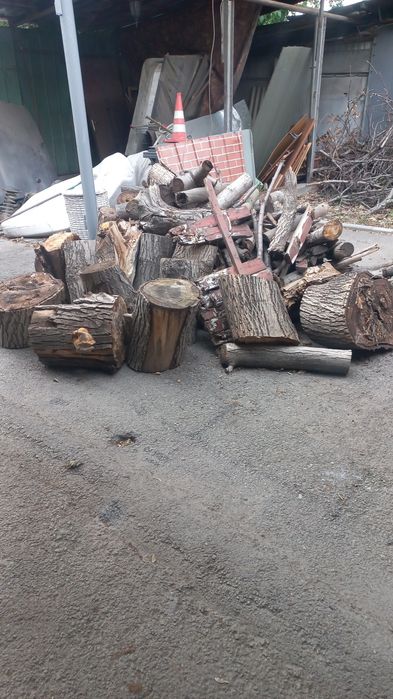 Спиленный орех на дрова