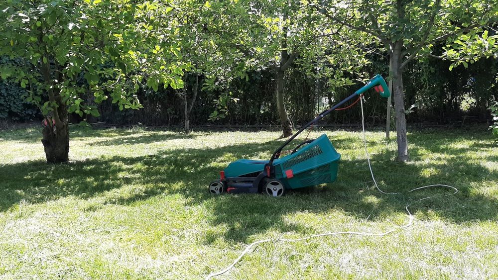 Косим траву, Газон