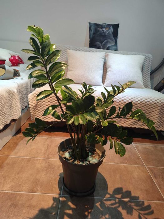 Диван растегателен 130см ширина 90 височина. Спално място 130-190см.