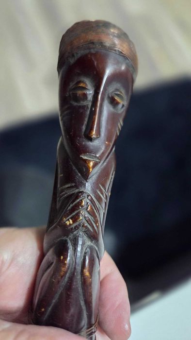Baston deosebit african