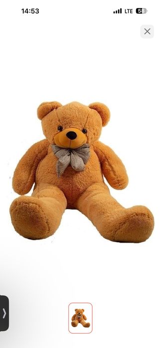 Продам медведя коричневый