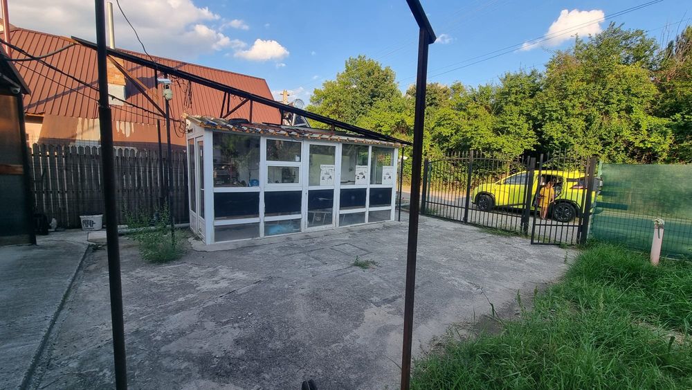 Casa de închiriat Dobrogostea