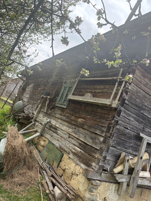 Casa de lemn de brad de vanzare