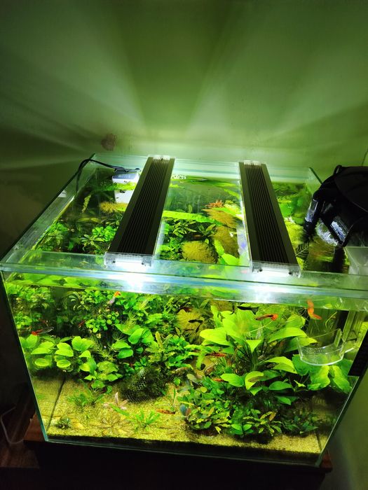 Продам аквариум травник.
