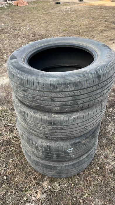 Жағыдайы жақсы!