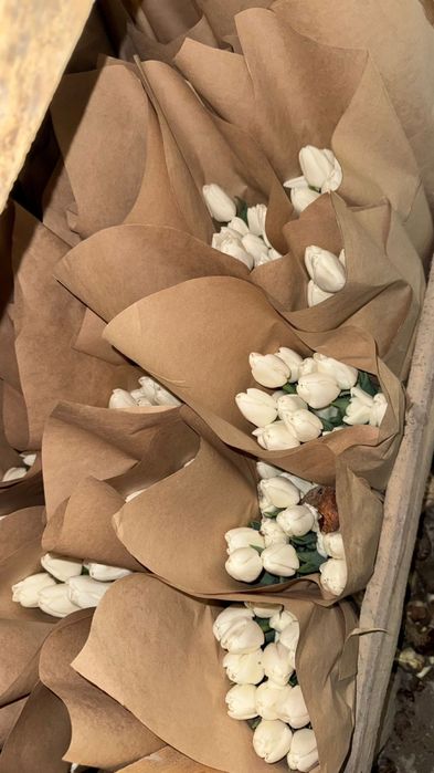 Тюльпаны 60см Алматы