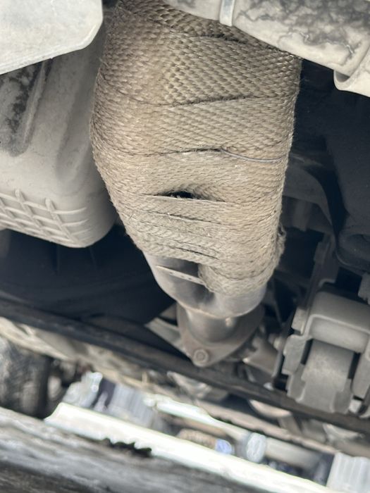 Jentraga pauk yangi xali 4.2.1