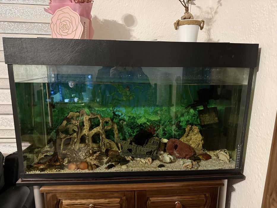 Аквариум 260л , 10мм стъкло