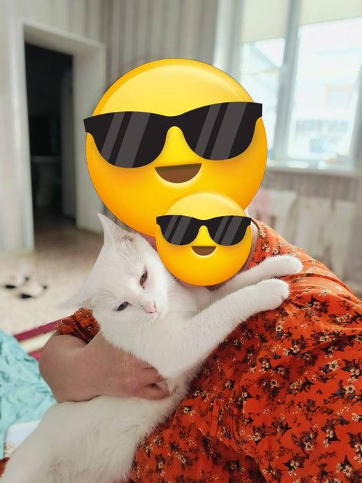 Отдам в добрые руки