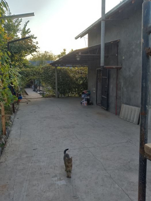 Продам дачу срочно